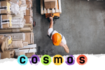 Linea-della-Palma-CosmosFEAT